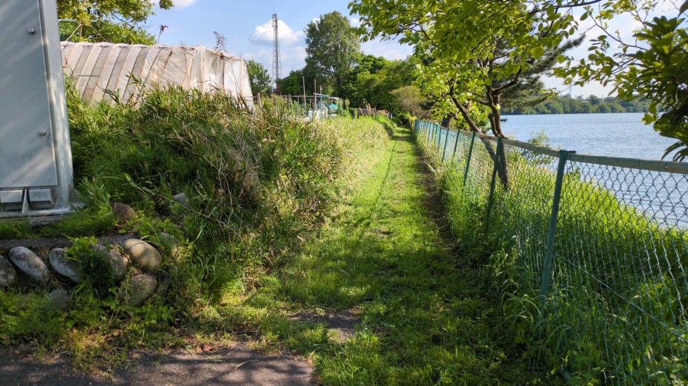 今年、最初の草刈りです