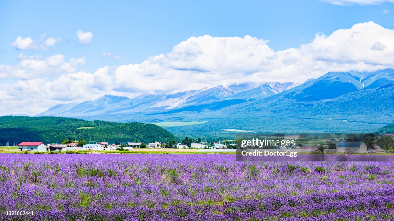 北海道10日間旅行（AI計画）